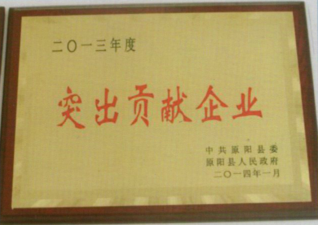 突出貢獻企業(yè)
